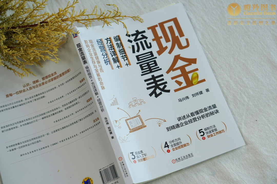 新书上市丨2025年，现金流就是一切！